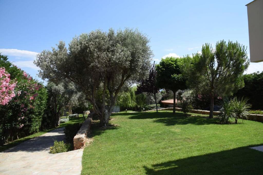 Seaside Villa Andronikos Amarynthos Ngoại thất bức ảnh