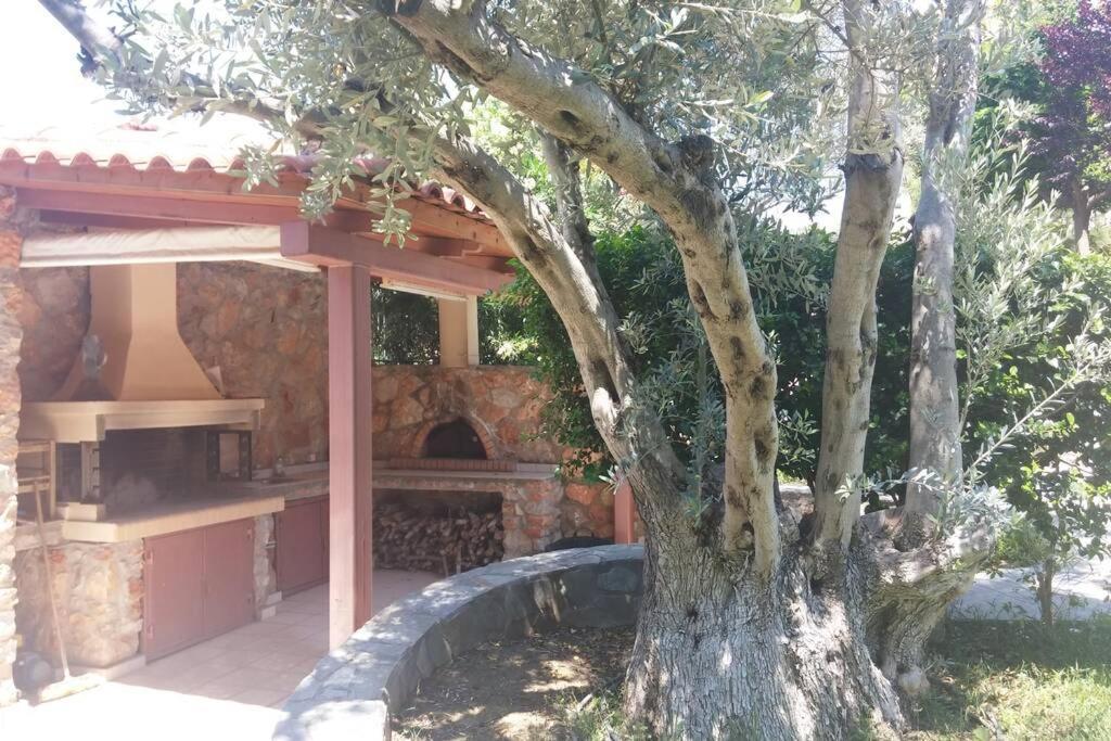Seaside Villa Andronikos Amarynthos Ngoại thất bức ảnh
