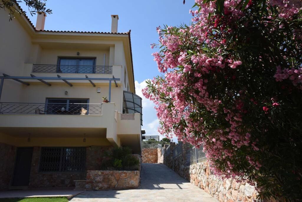 Seaside Villa Andronikos Amarynthos Ngoại thất bức ảnh