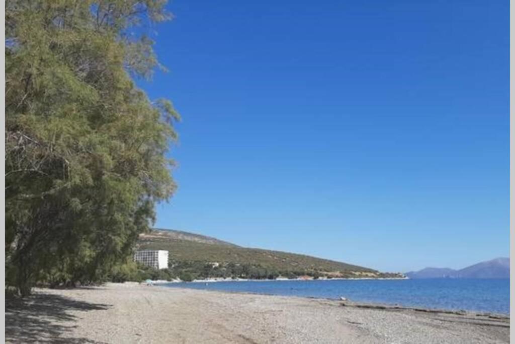 Seaside Villa Andronikos Amarynthos Ngoại thất bức ảnh