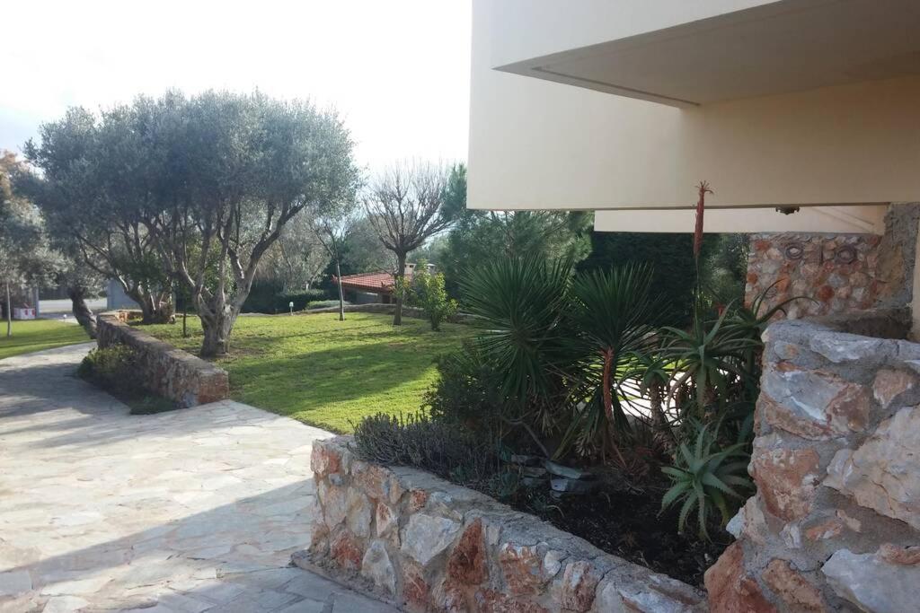 Seaside Villa Andronikos Amarynthos Ngoại thất bức ảnh