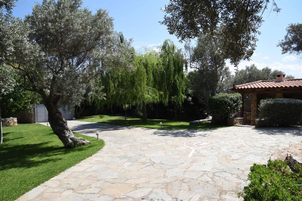 Seaside Villa Andronikos Amarynthos Ngoại thất bức ảnh
