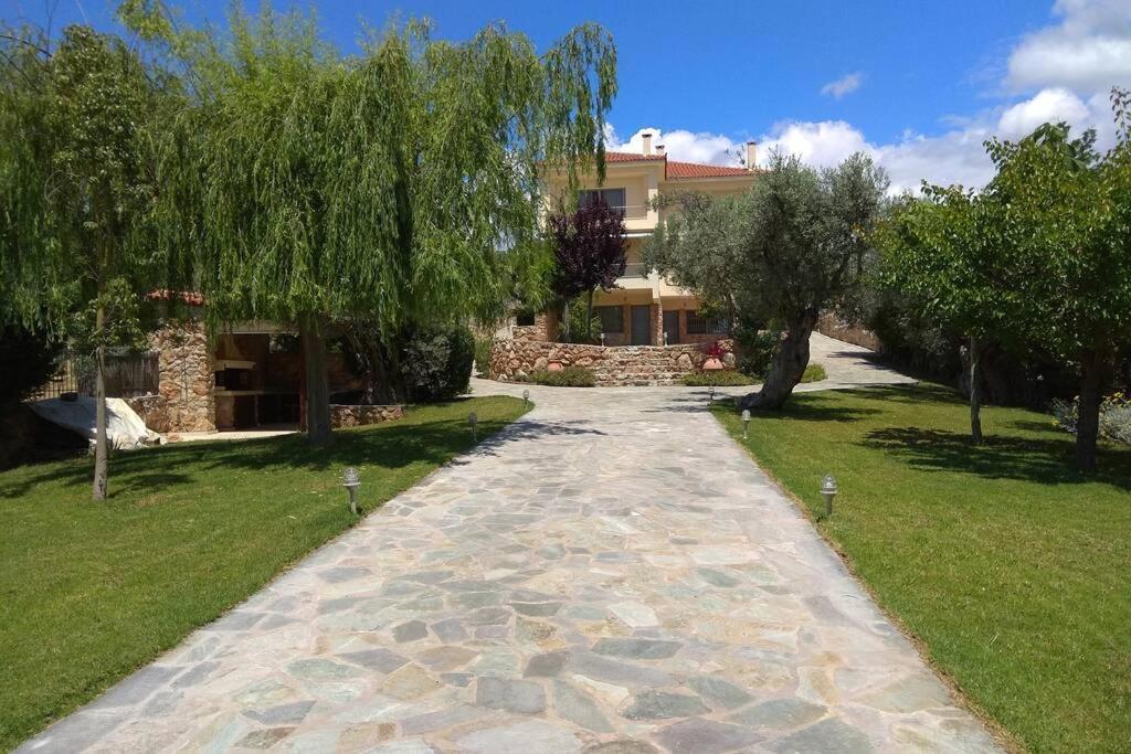 Seaside Villa Andronikos Amarynthos Ngoại thất bức ảnh