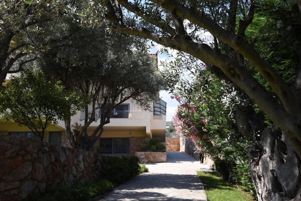 Seaside Villa Andronikos Amarynthos Ngoại thất bức ảnh