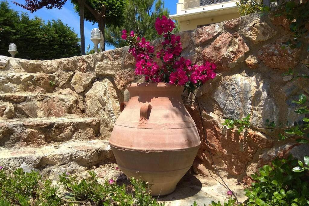 Seaside Villa Andronikos Amarynthos Ngoại thất bức ảnh