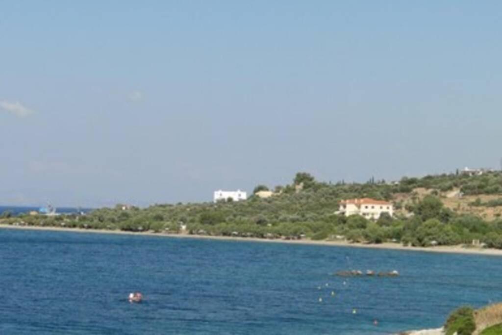 Seaside Villa Andronikos Amarynthos Ngoại thất bức ảnh