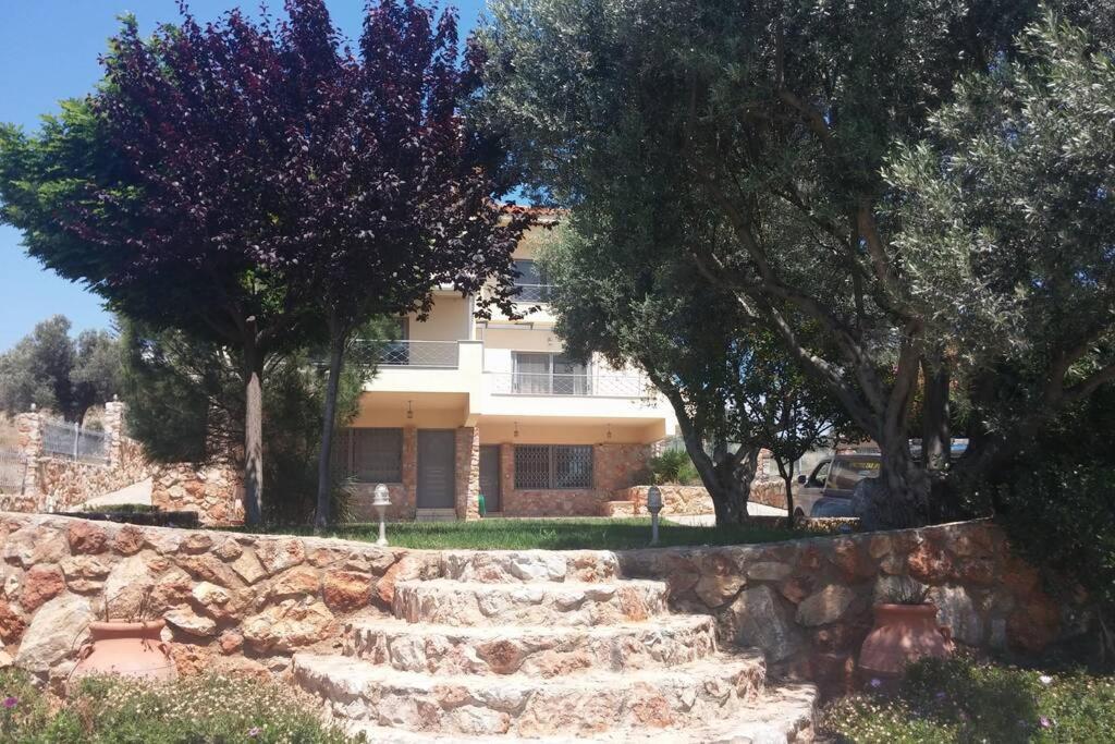 Seaside Villa Andronikos Amarynthos Ngoại thất bức ảnh