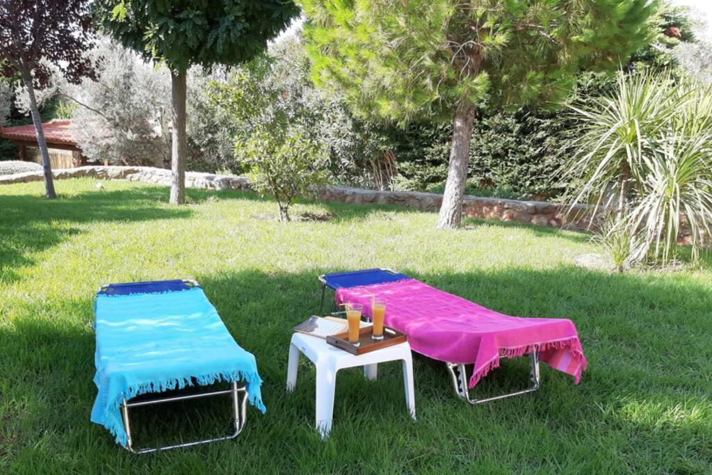 Seaside Villa Andronikos Amarynthos Ngoại thất bức ảnh