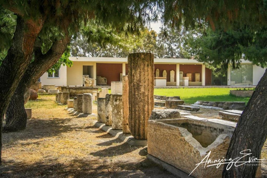 Seaside Villa Andronikos Amarynthos Ngoại thất bức ảnh