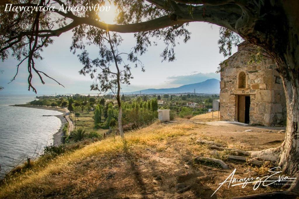 Seaside Villa Andronikos Amarynthos Ngoại thất bức ảnh